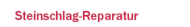 Steinschlag-Reparatur
